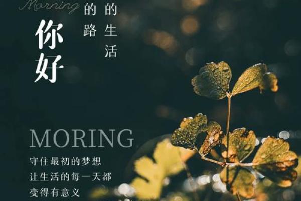 凌晨一点出生的人命运解析:解密你的个性与未来 凌晨一点出生的人命运解析:解密你的个性与未来
