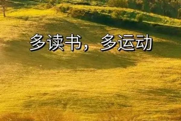 命有四两,人生风雨皆可控——探究命理与自我掌控的关系 命有四两,人生风雨皆可控——探究命理与自我掌控的关系