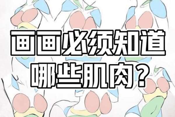 探究命格属水者身体形状的旺运指南:更好地利用你的元素优势! 探究命格属水者身体形状的旺运指南:更好地利用你的元素优势!