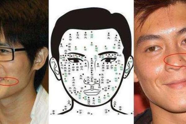面相解析:高颧骨的命运与性格特征探讨 面相解析:高颧骨的命运与性格特征探讨