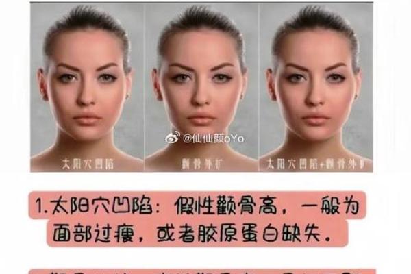 面相解析:高颧骨的命运与性格特征探讨 面相解析:高颧骨的命运与性格特征探讨