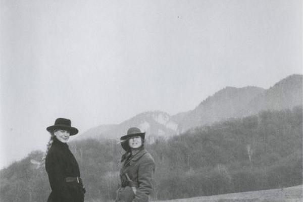 逆向命轨:自我救赎与心灵归宿的冷山之旅 逆向命轨:自我救赎与心灵归宿的冷山之旅