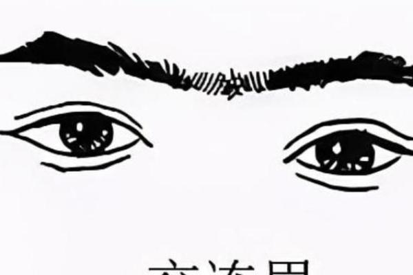 通过面相看命运:揭秘你面上的秘密与未来 通过面相看命运:揭秘你面上的秘密与未来