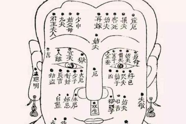通过面相看命运:揭秘你面上的秘密与未来 通过面相看命运:揭秘你面上的秘密与未来
