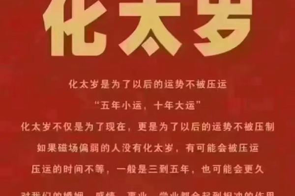 明年兔兔的命运解析:2024年兔年运势与生活指南 明年兔兔的命运解析:2024年兔年运势与生活指南