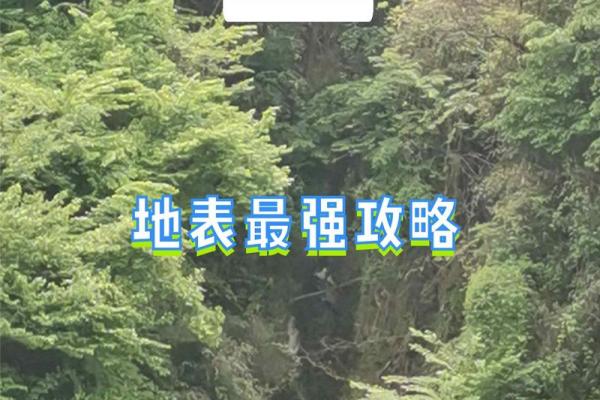 探寻九命网络:网络世界中的神秘力量与无限可能 探寻九命网络:网络世界中的神秘力量与无限可能