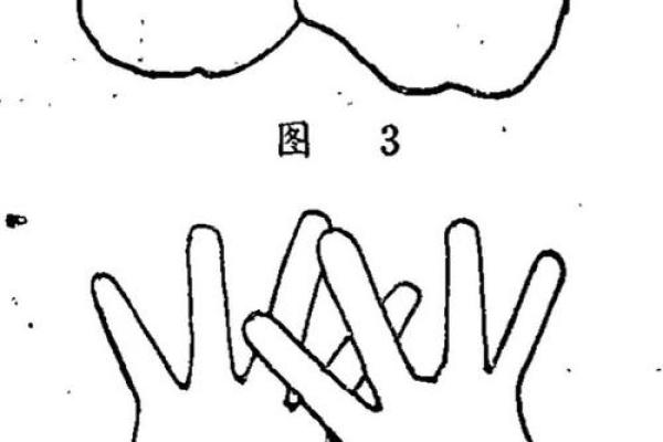 揭秘1993年出生女性的命运与特点,探索生活之道! 揭秘1993年出生女性的命运与特点,探索生活之道!
