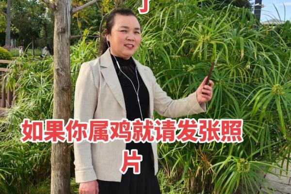 六九年出生的鸡:命运与性格的深度解析 六九年出生的鸡:命运与性格的深度解析