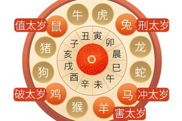 龙命变蛇命的秘密:从神话传说到现实启示 龙命变蛇命的秘密:从神话传说到现实启示