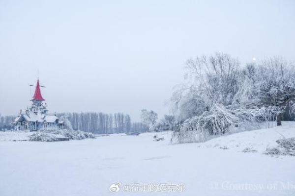 炉中火命:热情与创造力的完美结合 炉中火命:热情与创造力的完美结合