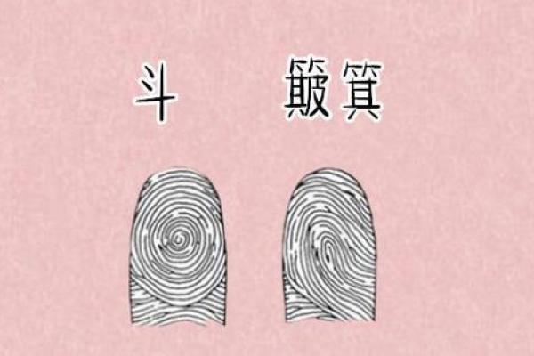 探秘命理:没有一个簸箕是什么命格?深度解读命理与人生启示 探秘命理:没有一个簸箕是什么命格?深度解读命理与人生启示