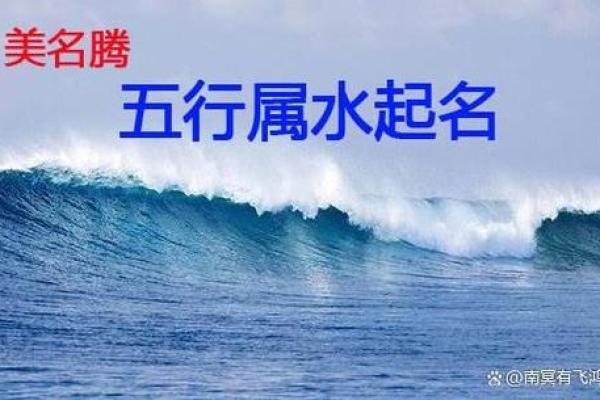 如何通过命字的偏旁组合,探索生命的奥秘与智慧 如何通过命字的偏旁组合,探索生命的奥秘与智慧