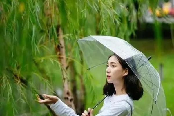卯时出生的人属牛命运分析:性格、优缺点与发展机会 卯时出生的人属牛命运分析:性格、优缺点与发展机会