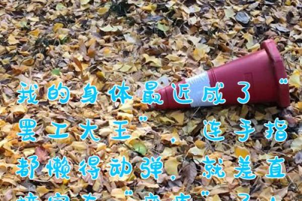 命里说身体欠佳,如何理解和调理? 命里说身体欠佳,如何理解和调理?