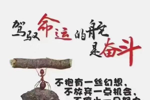 2023年命理分析:揭示你的运势与生活机遇 2023年命理分析:揭示你的运势与生活机遇