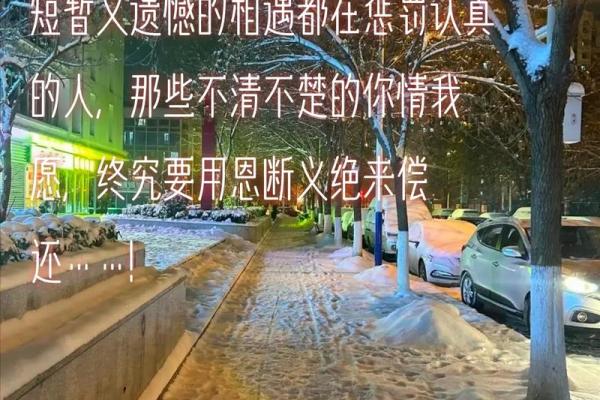 命贱的人为何更容易生存:探寻人性的韧性与适应能力 命贱的人为何更容易生存:探寻人性的韧性与适应能力