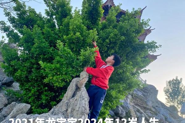 命有红艳桃花的含义与影响:人生中的爱情与美好象征 命有红艳桃花的含义与影响:人生中的爱情与美好象征