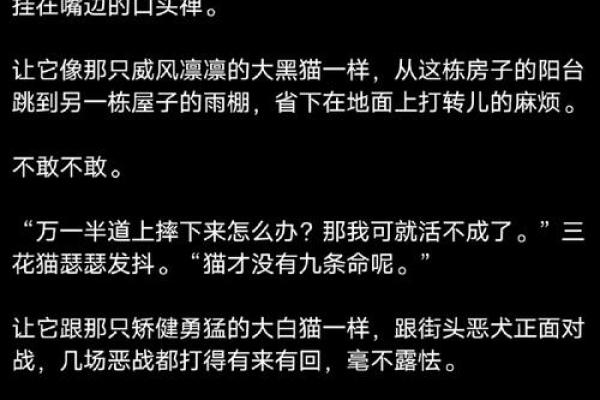 猫咪传说:为何它们总被说有九条命? 猫咪传说:为何它们总被说有九条命?