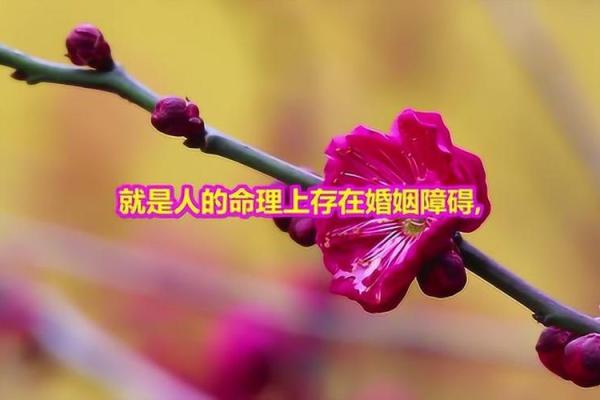 揭秘命里红艳煞:为何它被视为命理中的特殊象征? 揭秘命里红艳煞:为何它被视为命理中的特殊象征?