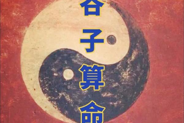 辰宫鱼化龙:探索生肖与命理的深邃智慧 辰宫鱼化龙:探索生肖与命理的深邃智慧