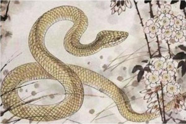 路旁土命的配命指南:与何种命相辅相成? 路旁土命的配命指南:与何种命相辅相成?