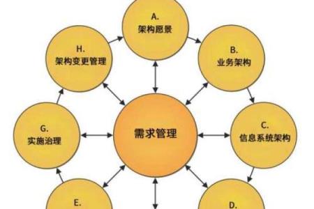 命局带贵气，职业选择的最佳指南与启示
