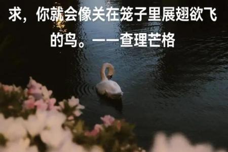 六十甲子命与葬山向的吉凶解析，揭示人生的幸福密码