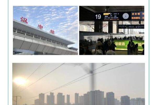 为什么男人是母老虎命:探究性格与命运的奇妙联系 为什么男人是母老虎命:探究性格与命运的奇妙联系