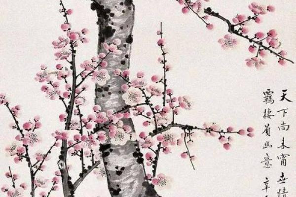梅花之命格探秘:人生的选择与命运的奥秘 梅花之命格探秘:人生的选择与命运的奥秘