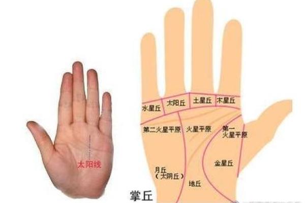揭开男人手心秘密,了解其命运与命理的深层含义 揭开男人手心秘密,了解其命运与命理的深层含义