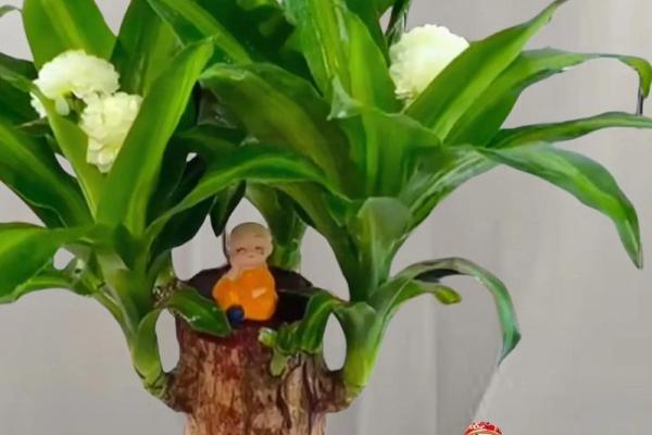 木命生孩子的命格解析:探索生命之树的奥秘 木命生孩子的命格解析:探索生命之树的奥秘