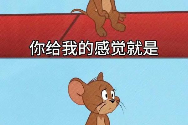 拼了命爱个女孩:爱的执着与成长历程 拼了命爱个女孩:爱的执着与成长历程