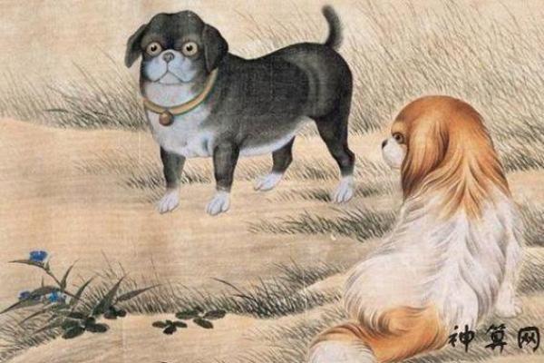 属狗寅时出生的女孩命理解读与人生拥有的优势 属狗寅时出生的女孩命理解读与人生拥有的优势