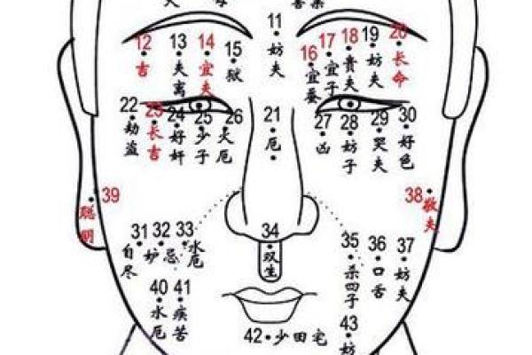 揭秘女人的富贵面相:怎样的面相能带来好运与财富? 揭秘女人的富贵面相:怎样的面相能带来好运与财富?