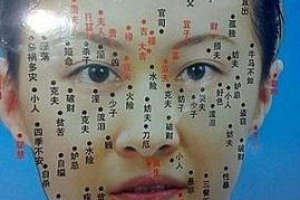 揭秘女人的富贵面相:怎样的面相能带来好运与财富? 揭秘女人的富贵面相:怎样的面相能带来好运与财富?