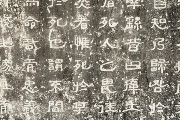 探秘命局中的木三局:解读其深层含义与生活启示 探秘命局中的木三局:解读其深层含义与生活启示