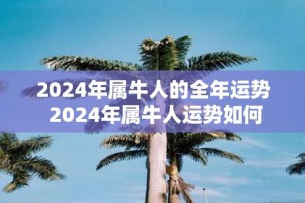 六九年属牛人的命运解析与人生智慧 六九年属牛人的命运解析与人生智慧