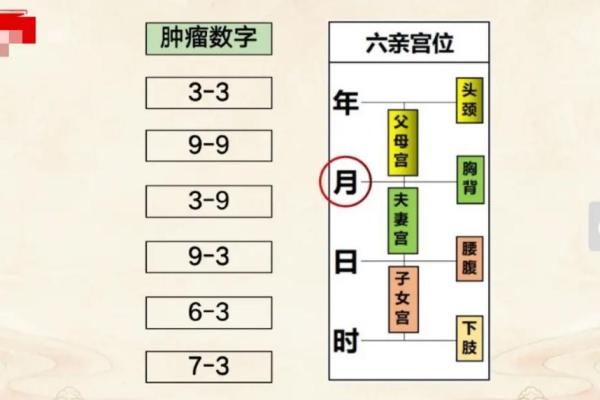 2024年阴历九月十几的命理解析与生活指南 2024年阴历九月十几的命理解析与生活指南