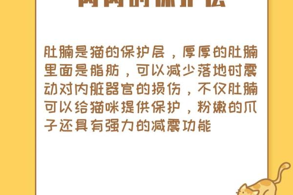 猫咪的秘密:为何猫都有九条命的传奇? 猫咪的秘密:为何猫都有九条命的传奇?