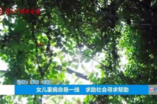 力帆汽车命悬一线!谁将成为最后的救星? 力帆汽车命悬一线!谁将成为最后的救星?