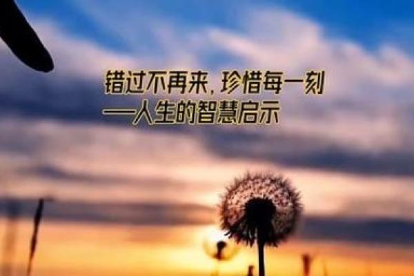 流年命带驿马的深刻解读与人生启示 流年命带驿马的深刻解读与人生启示