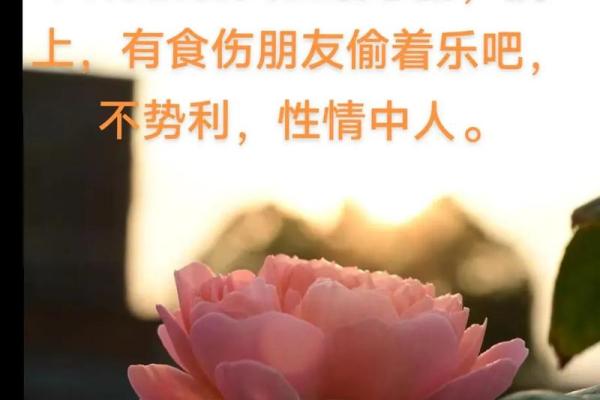 女命食伤旺为何克夫?探寻命理背后的真相与智慧 女命食伤旺为何克夫?探寻命理背后的真相与智慧