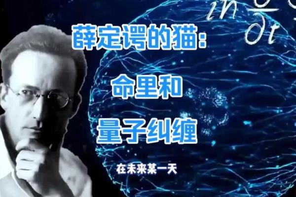 猎命师雷力:独具慧眼的命格解析与人生探索 猎命师雷力:独具慧眼的命格解析与人生探索