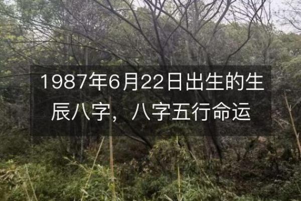 炉中火命属兔:缺失与补充的智慧之旅 炉中火命属兔:缺失与补充的智慧之旅