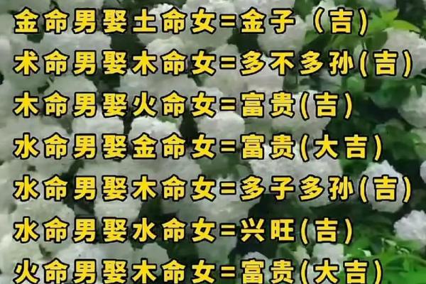 木命与金命:理想的商业机会解析与指南 木命与金命:理想的商业机会解析与指南