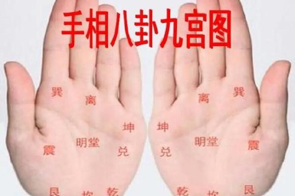 通过手相看命运,揭示你的人生运势与未来可能! 通过手相看命运,揭示你的人生运势与未来可能!