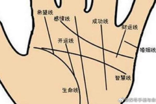 通过手相看命运,揭示你的人生运势与未来可能! 通过手相看命运,揭示你的人生运势与未来可能!