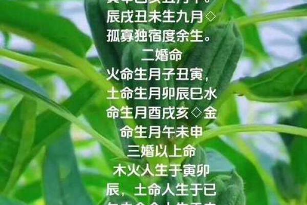 木命与火命的风水矛盾:深度解析不相配的命理关系 木命与火命的风水矛盾:深度解析不相配的命理关系