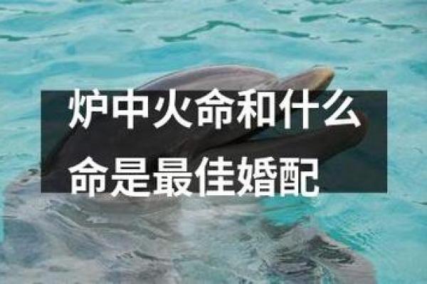 炉中火命属虎的人适合佩戴什么?解析火命吉祥物与佩戴法则! 炉中火命属虎的人适合佩戴什么?解析火命吉祥物与佩戴法则!