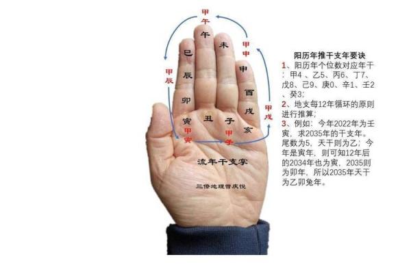 路旁土命与木命的完美结合:探索五行相生的深意与实际应用 路旁土命与木命的完美结合:探索五行相生的深意与实际应用